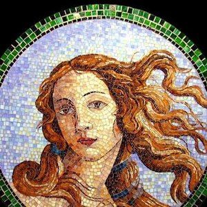 Meet your Posher, Judy stearns